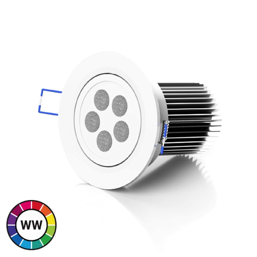 LEDTech RGB Warm White LED Downlighter - 40W