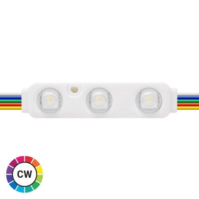 LED Module 0.72W 12V RGBW (6500K) Pack of 20