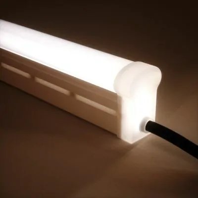 NEOLINEAR Domed Top Neon Flex — cool white straight run