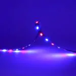 ProFlex RGB Indigo (450NM) 24V IP20 Black PCB