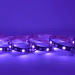 ProFlex RGB Indigo (450NM) 24V IP20 Black PCB