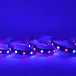 ProFlex RGB Indigo (450NM) 24V IP20 Black PCB