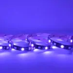 ProFlex RGB Indigo (450NM) 24V IP20 Black PCB