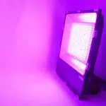 FUTT08 MiBoxer 200W RGB+CCT AC100-240V LED Floodlight Purple
