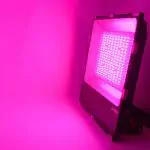 FUTT08 MiBoxer 200W RGB+CCT AC100-240V LED Floodlight Magenta
