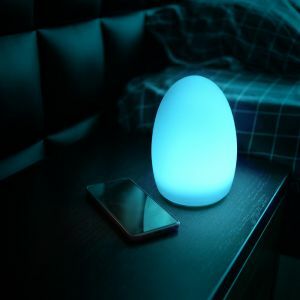 Frosted Egg Cordless LED Table Lamp