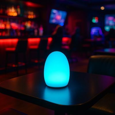 Frosted Egg Cordless LED Table Lamp