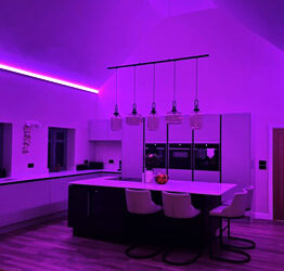 24V StudioFlex RGBNW - Home Accent Lighting