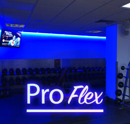 ProFlex RGB LED Gym Lighting